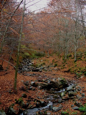 Il fiume Rimonio